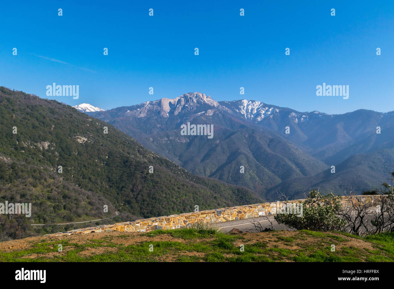 Panorama, Giant Forest, Sequoia Nationalpark, Kalifornien, USA Stockfoto