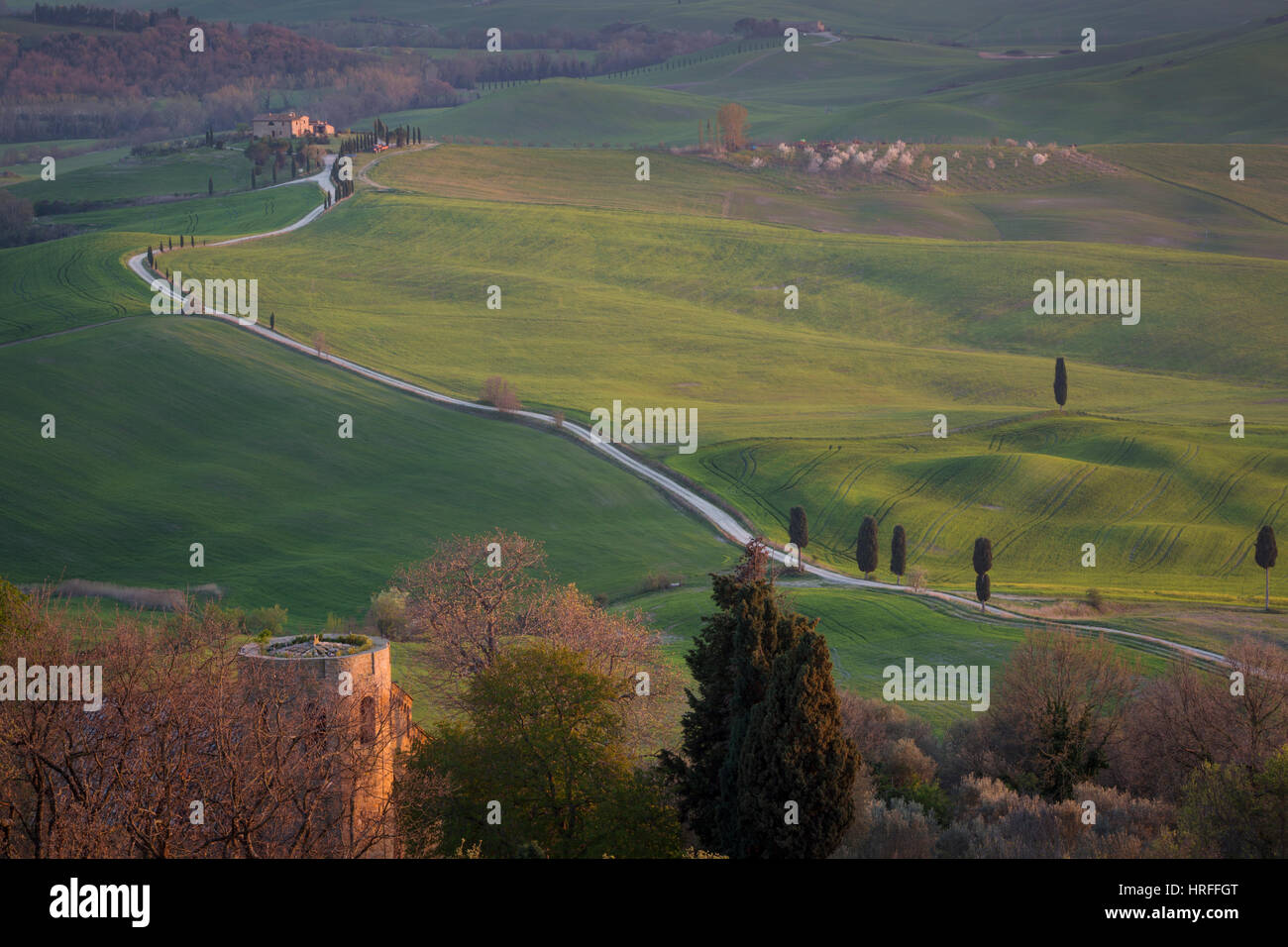 Toskana in der Nähe von Pienza, Toskana, Italien Stockfoto