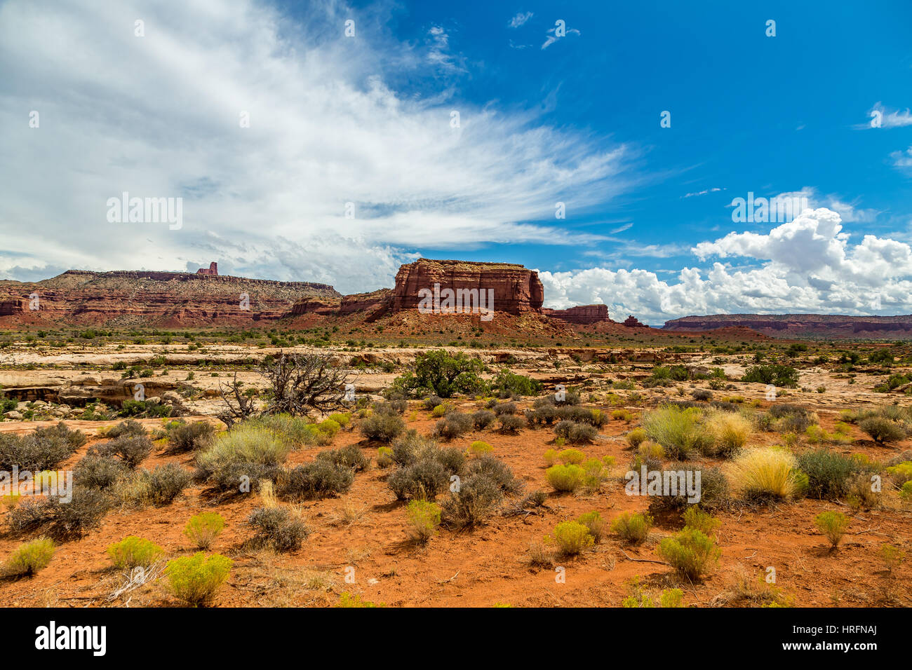 Jakobs Stuhl, ein 270-Fuß Wingate Sandstein Turm in Süden-zentralem Utah, nördlich von Highway 95. Der Monolith ist über fünf Meilen von alten Bergbau Roa erreicht. Stockfoto