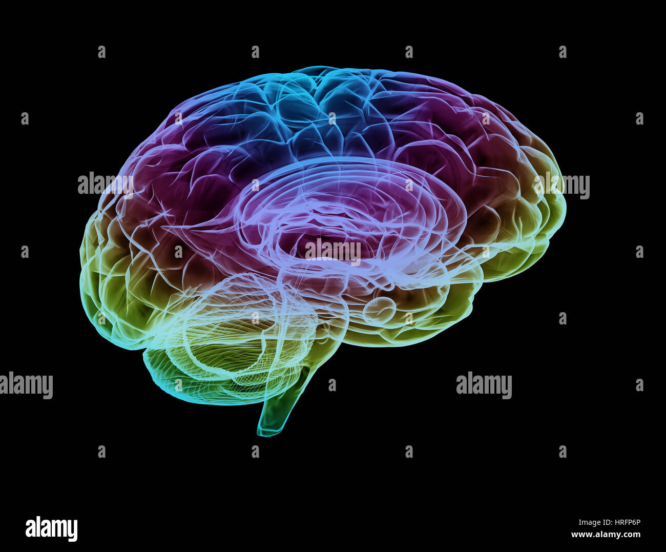 Menschliche Gehirn Multi Farbe auf schwarzem Hintergrund Stockfoto