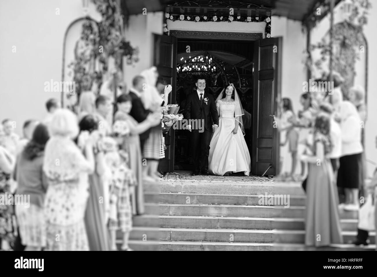 Die Gäste werden begrüßt Hochzeit paar mit Blütenblättern von Rosen bei der Ausfahrt aus der Kirche. Schwarz / weiß Foto. Stockfoto