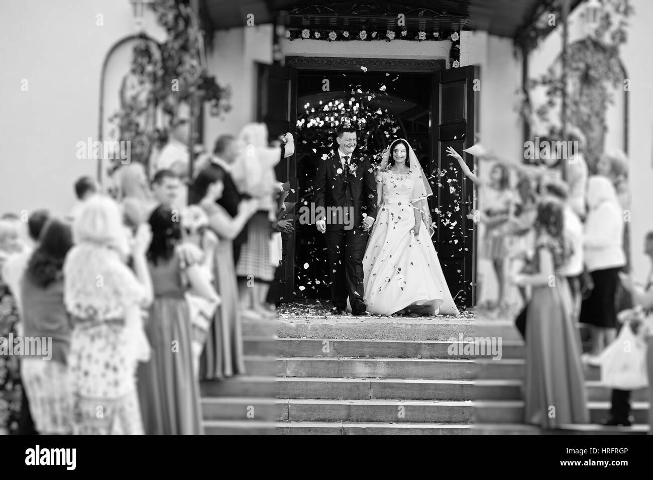 Die Gäste werden begrüßt Hochzeit paar mit Blütenblättern von Rosen bei der Ausfahrt aus der Kirche. Schwarz / weiß Foto. Stockfoto