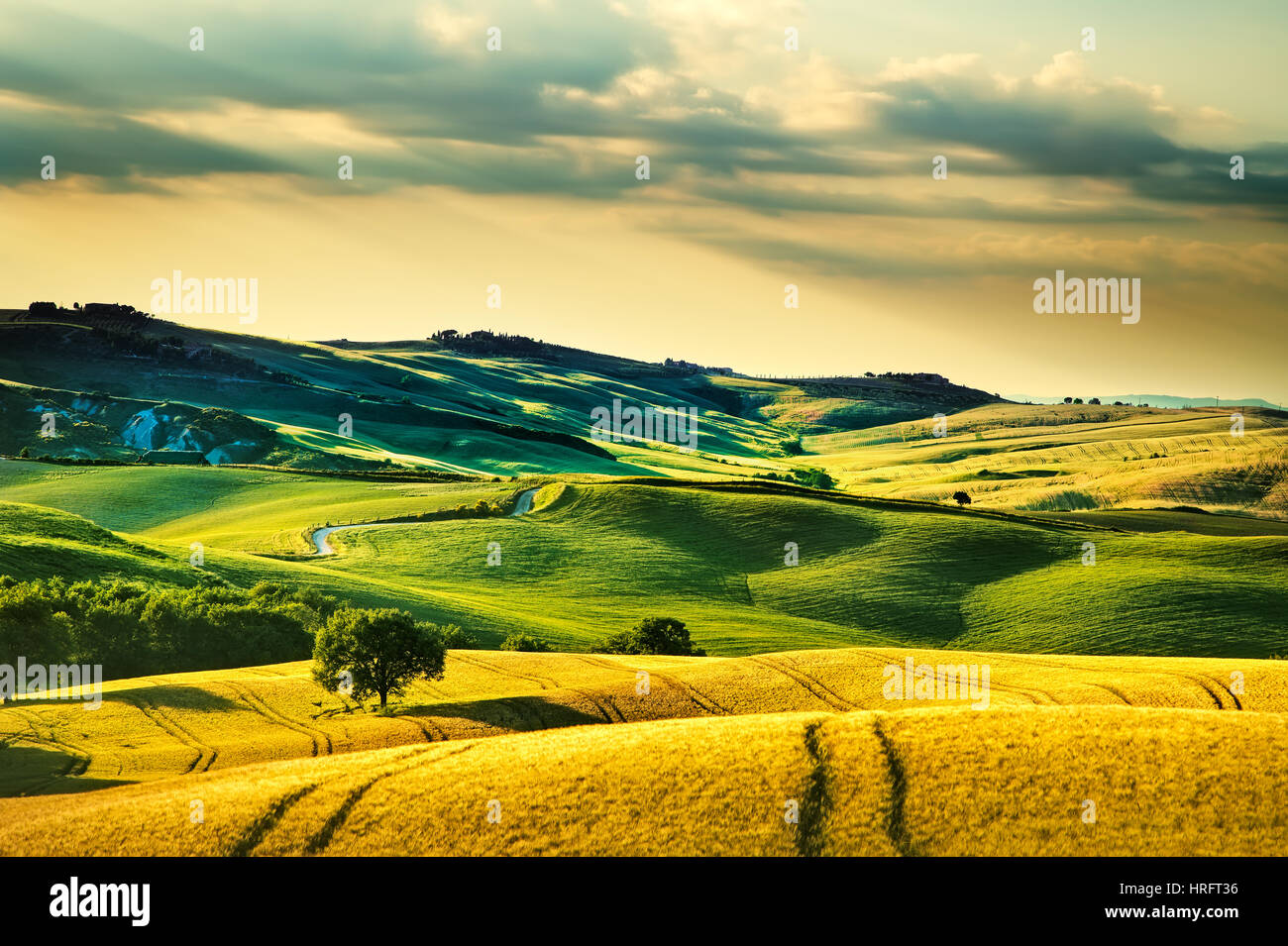 Tuscany Frühling, sanften Hügeln am Sonnenuntergang. Volterra Kulturlandschaft. Grüne Felder und Bäume Italien, Europa Stockfoto