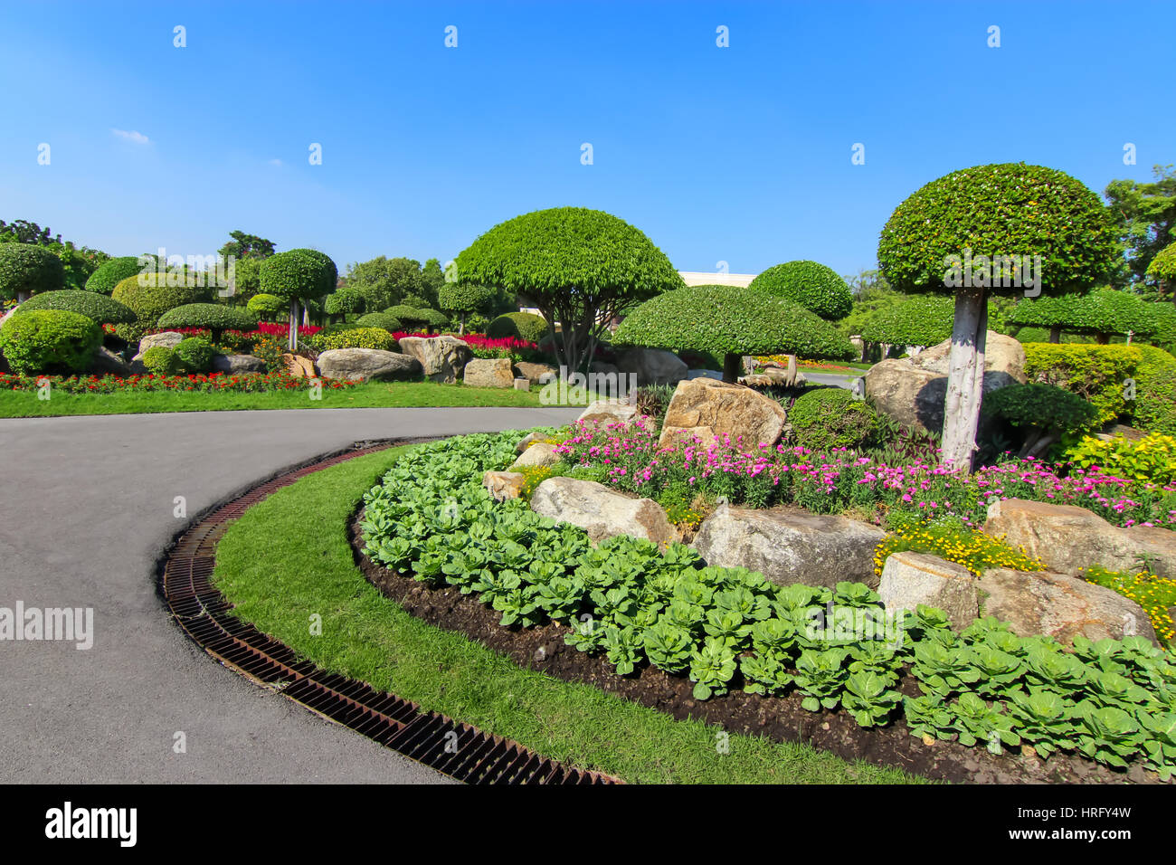 Schöne Zwerg-Palme im Garten in Thailand Stockfoto