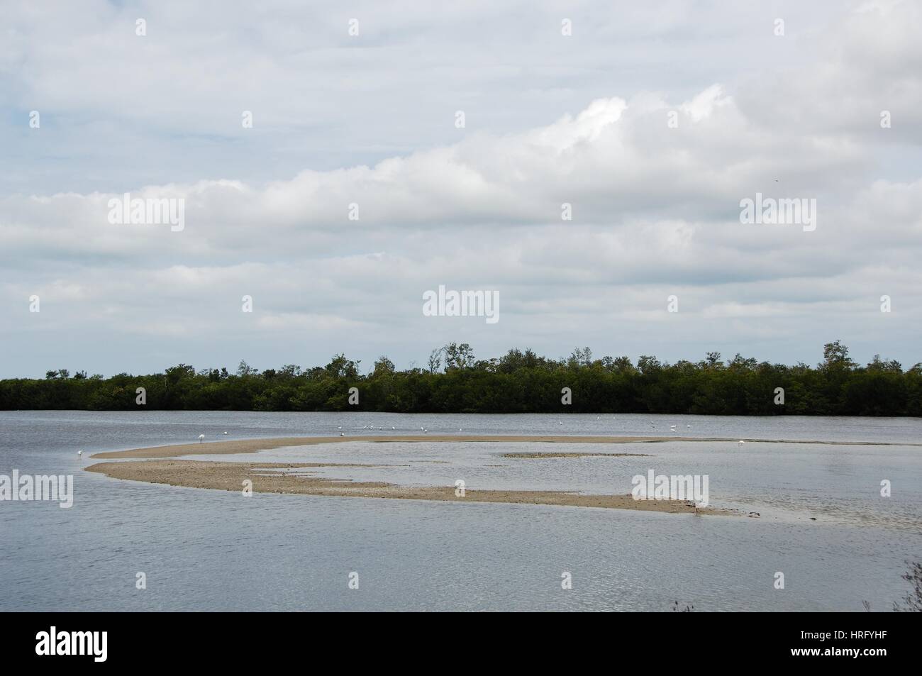 Ding Darling Park auf Sanibel Island in Florida Stockfoto