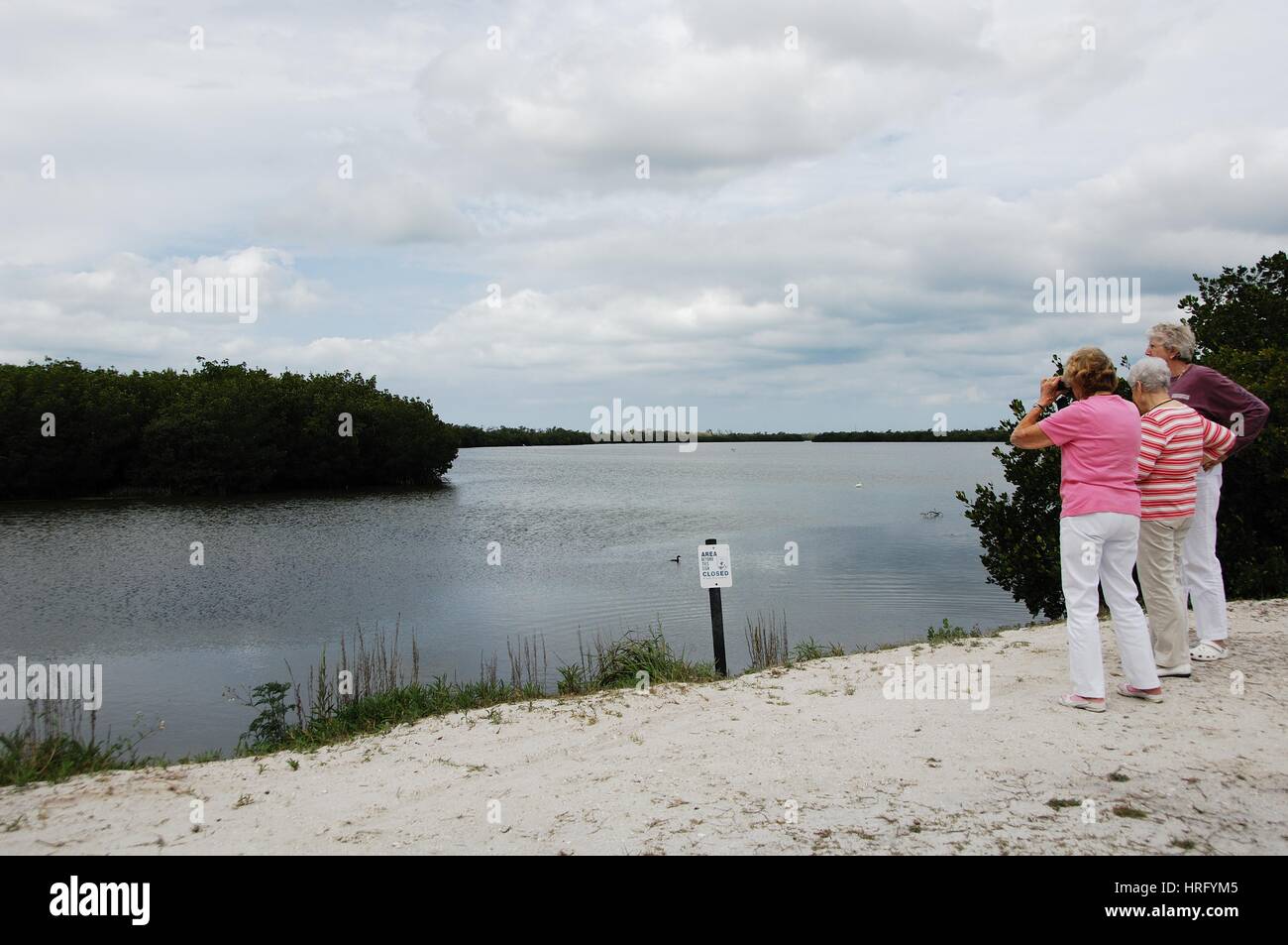 Ding Darling Park auf Sanibel Island in Florida Stockfoto