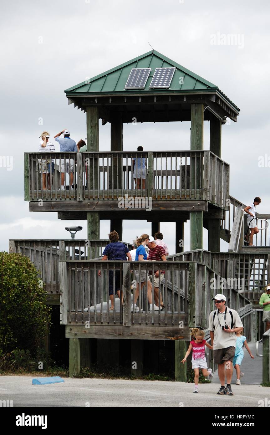 Ding Darling Park auf Sanibel Island in Florida Stockfoto