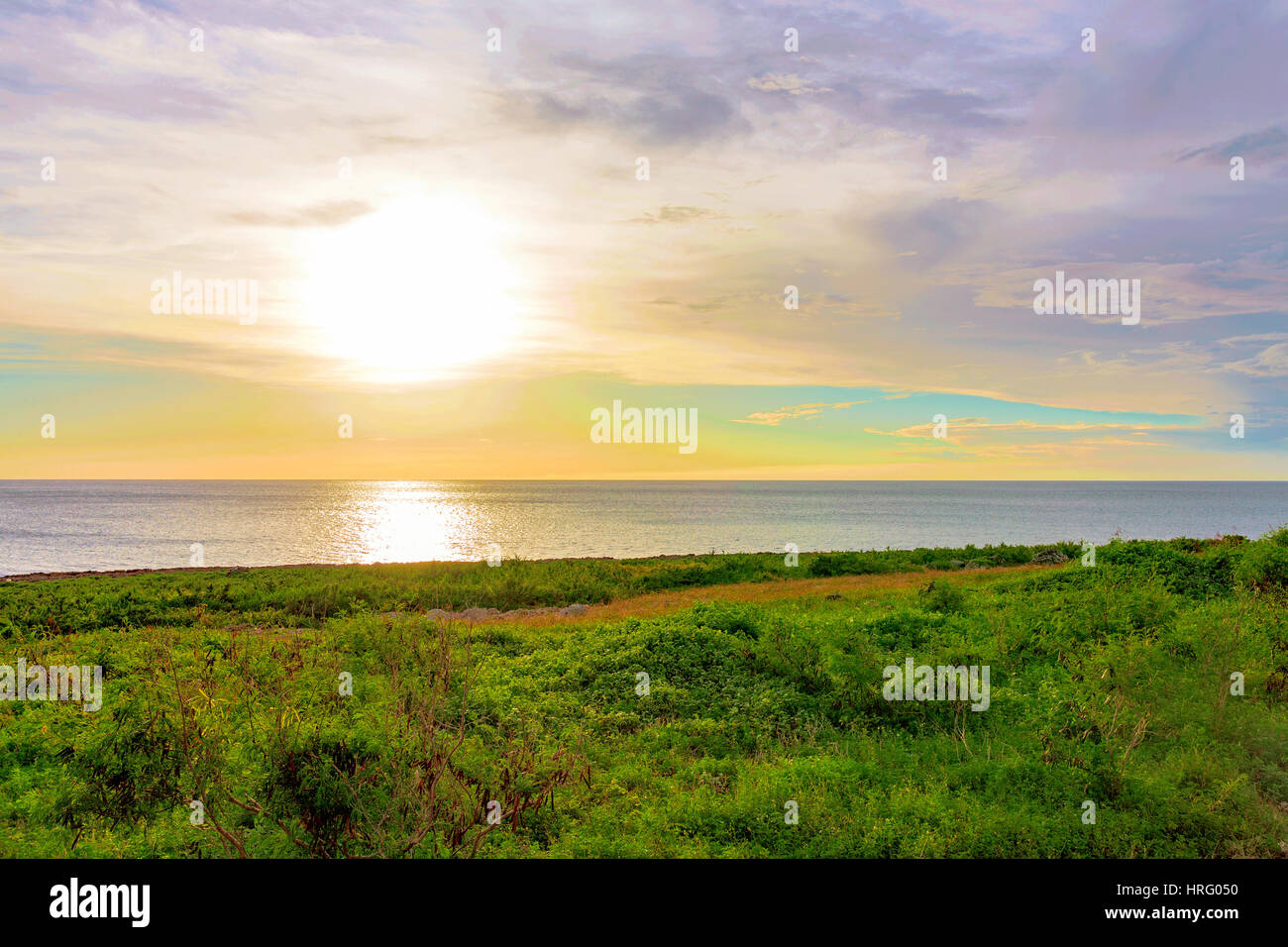 Grünland und Meer bei Sonnenuntergang Stockfoto