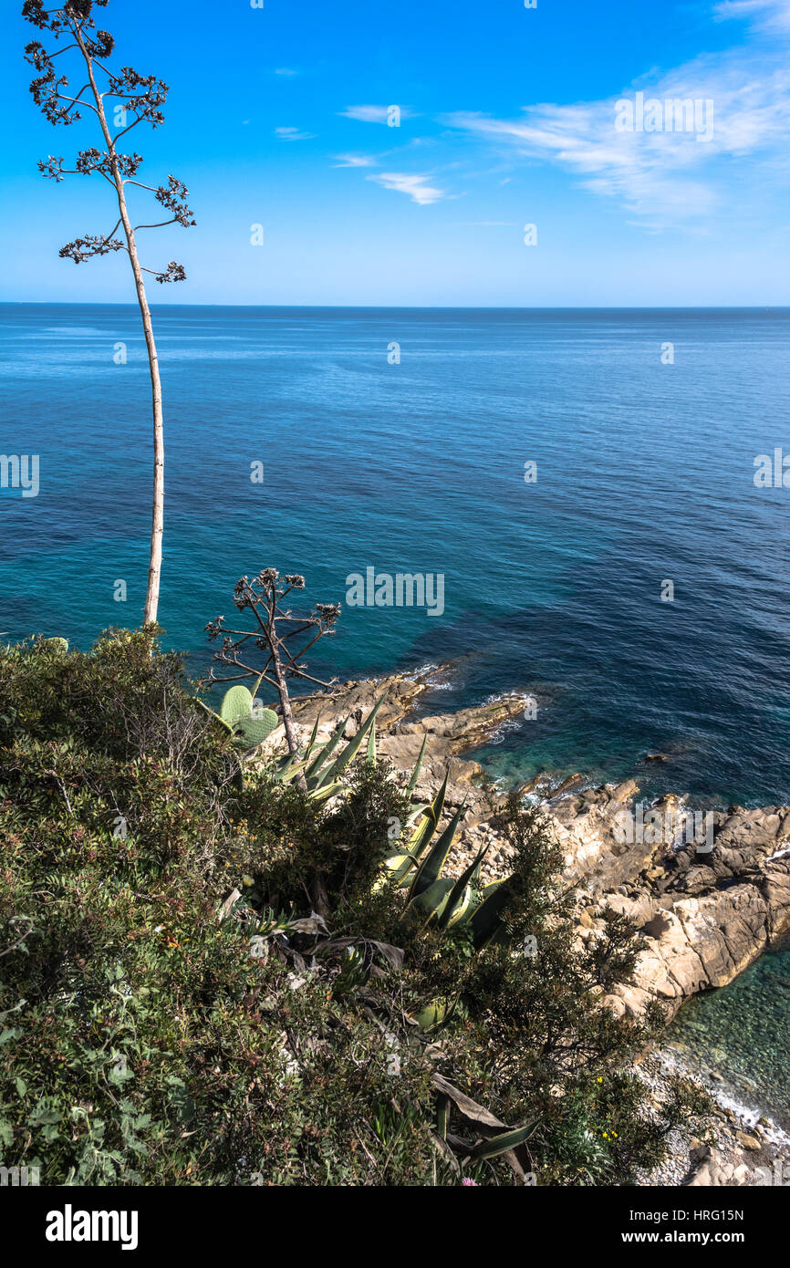 Blick auf die Küste von Sanremo mit blauem Meer, Agaven und Sukkulenten, Italien Stockfoto