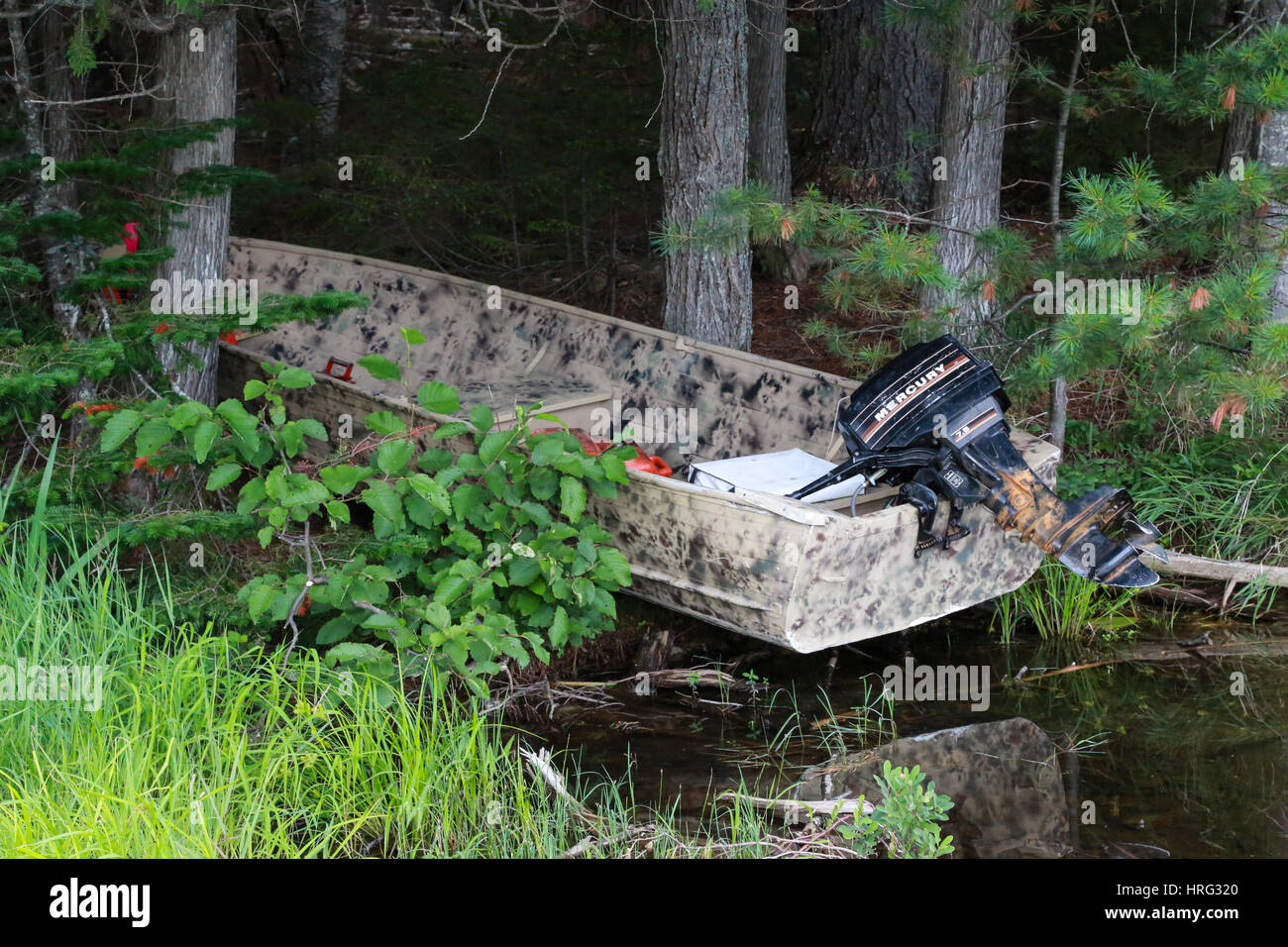Skiff in den Wäldern im Lily Bay State Park am östlichen Ufer des