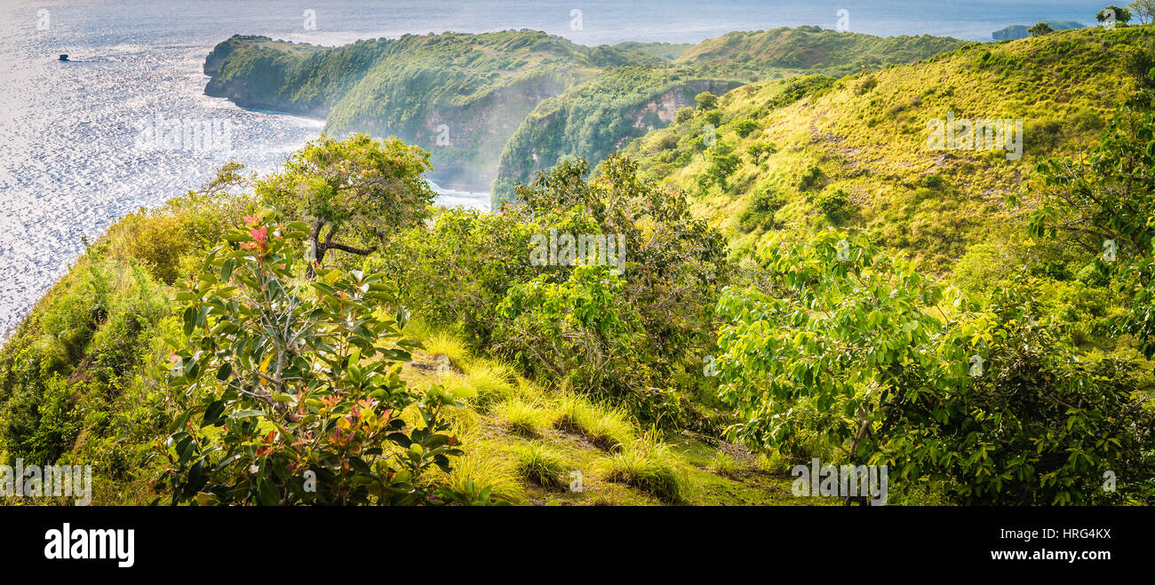 Beeindruckende Küste bis Wasu Beach in der Nähe von Manta Bay oder Kelingking Beach auf Nusa Penida Insel, Bali, Indonesien. Stockfoto