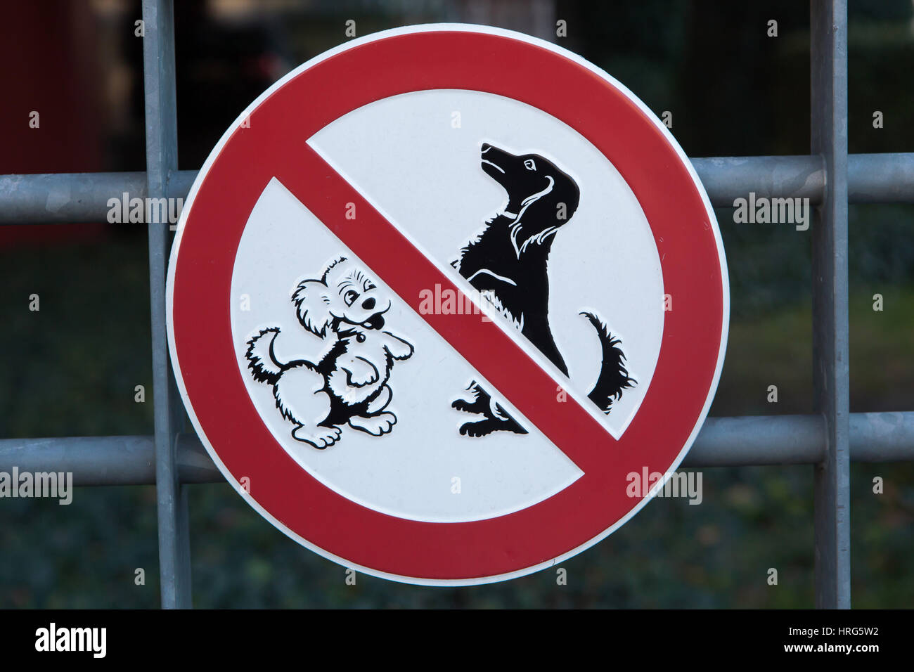 Keine Hunde erlaubt! Verbotszeichen in Berlin, Deutschland. Stockfoto