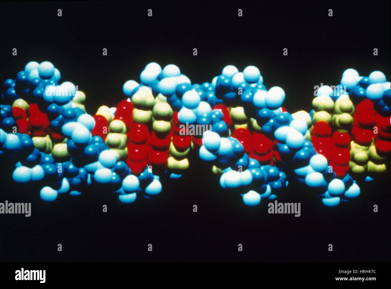B-DNA Molekülmodell Stockfoto