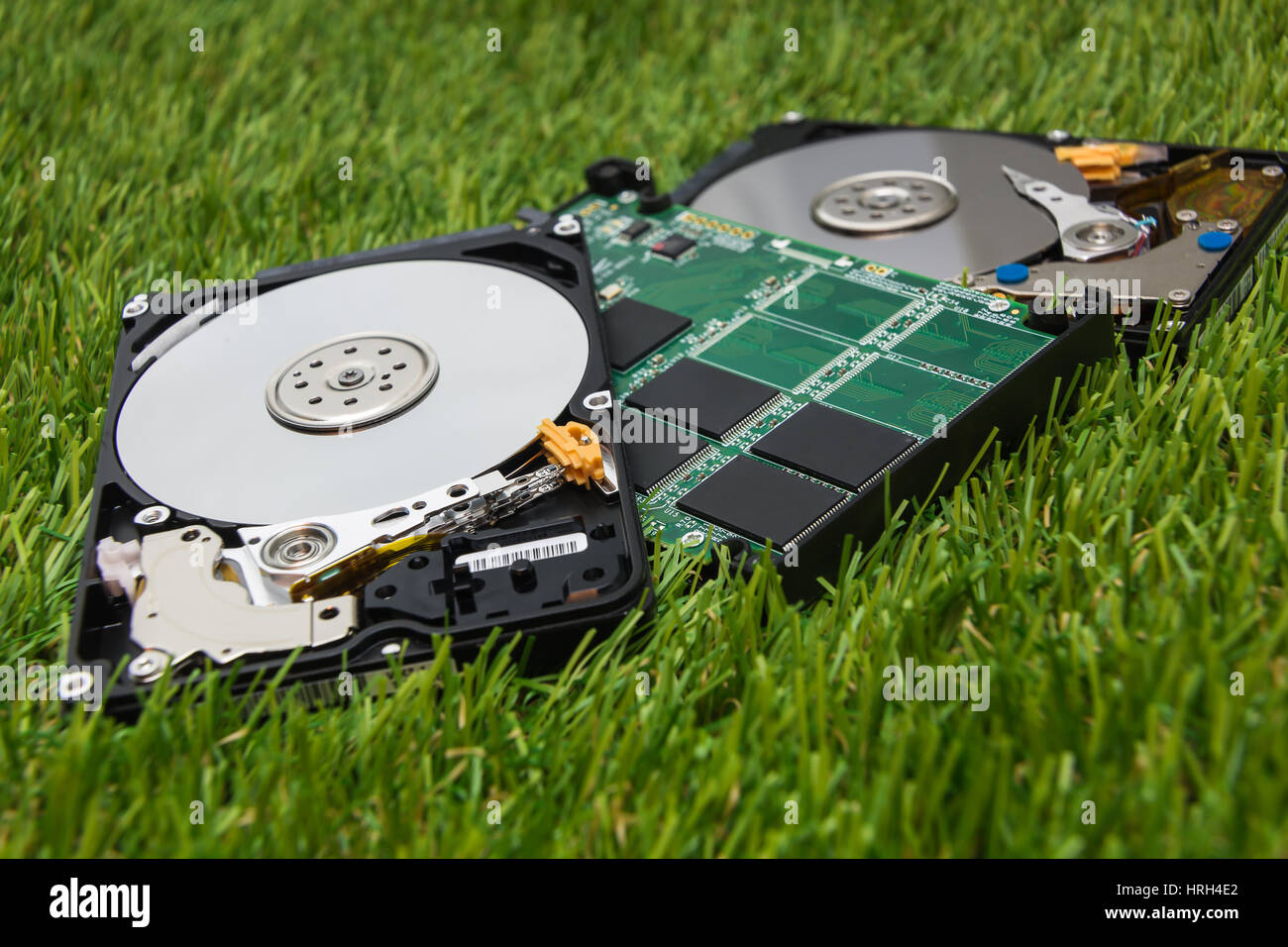 neue SSD und ein paar alte HDD auf dem grünen Rasen Stockfoto