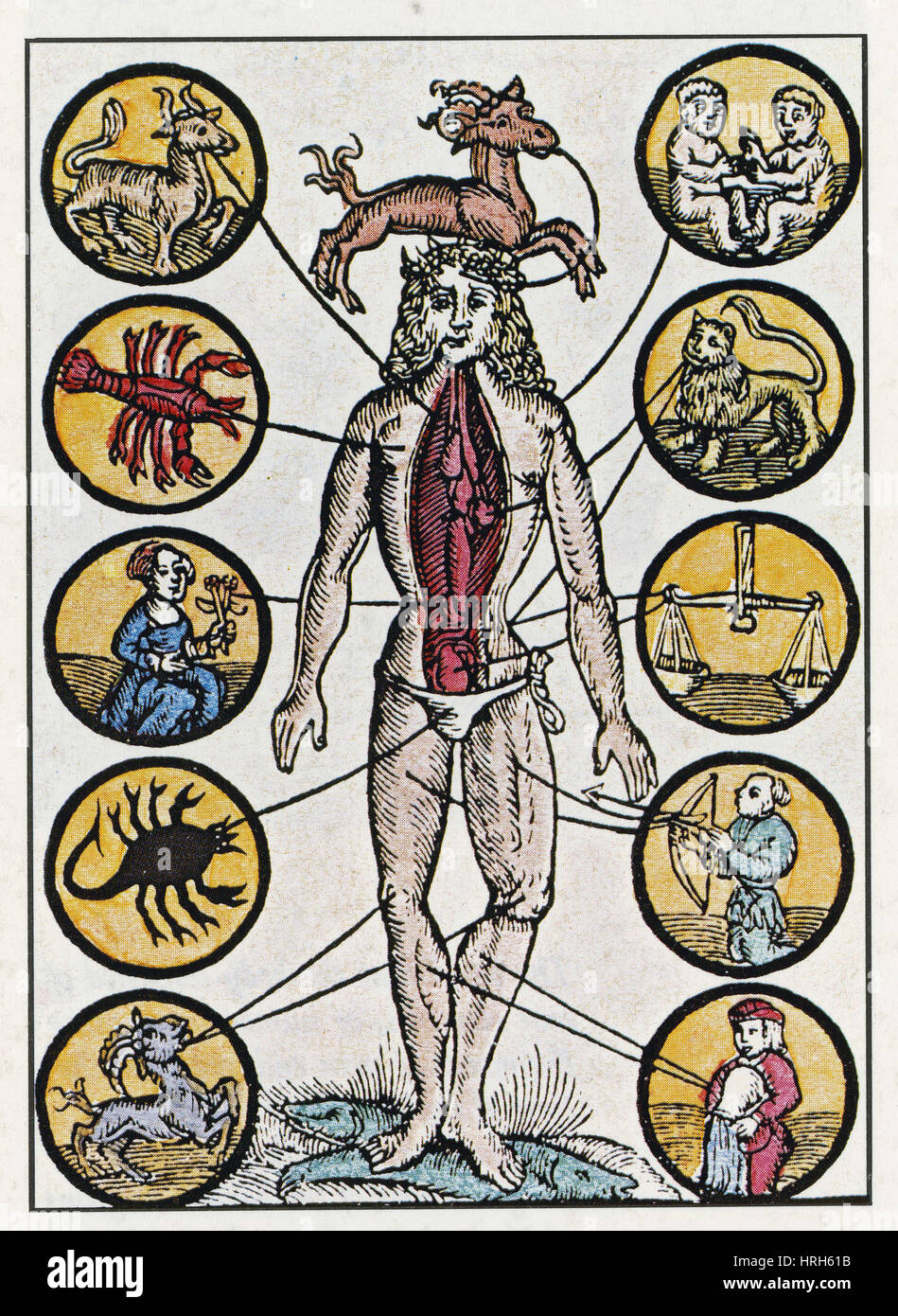 Medical zodiac man Fotos und Bildmaterial in hoher Auflösung Alamy