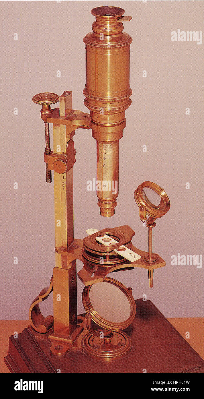 Manschette Compound Mikroskop Stockfoto