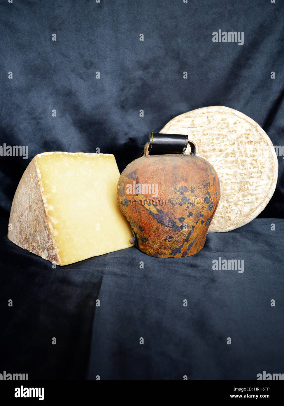 Sortiment von Auvergne Käse, Frankreich. Stockfoto