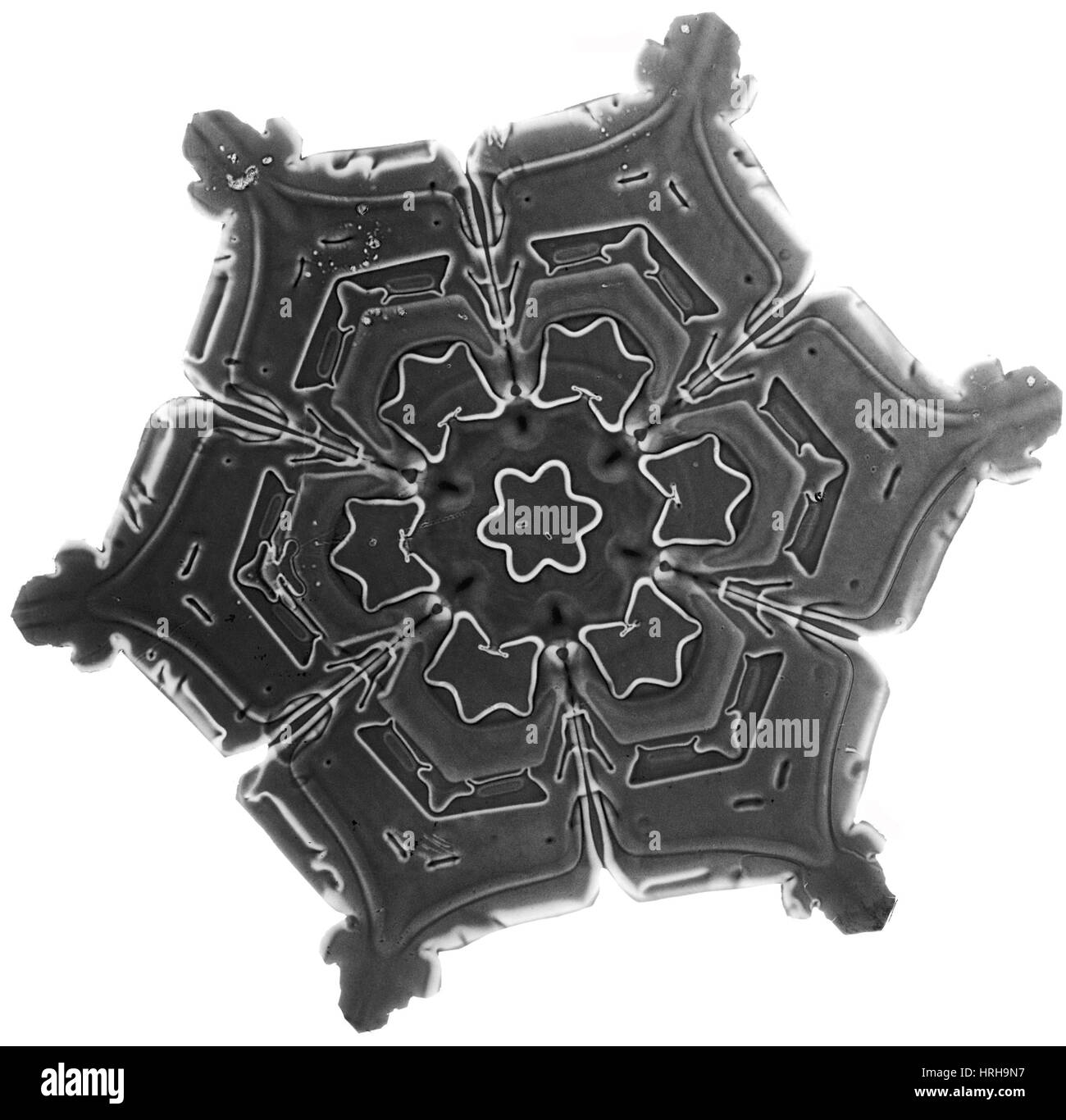 Schneeflocke Stockfoto