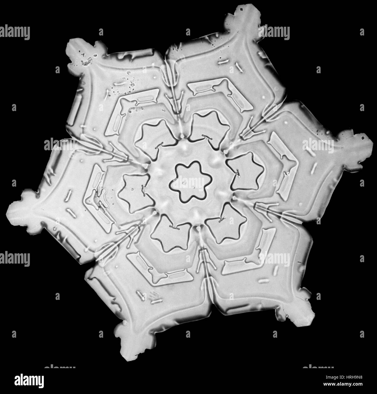 Schneeflocke Stockfoto