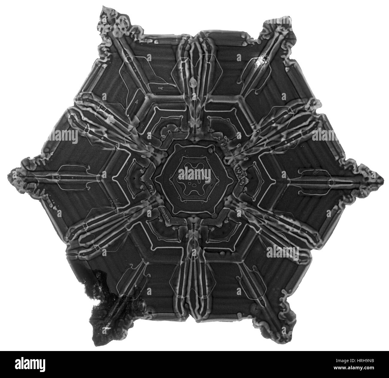 Schneeflocke Stockfoto