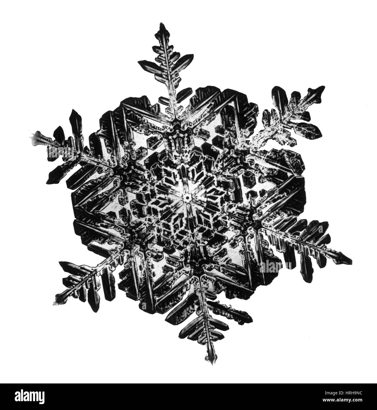 Schneeflocke Stockfoto