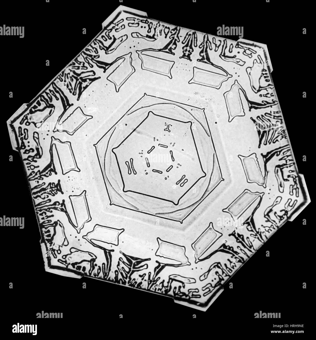 Schneeflocke Stockfoto