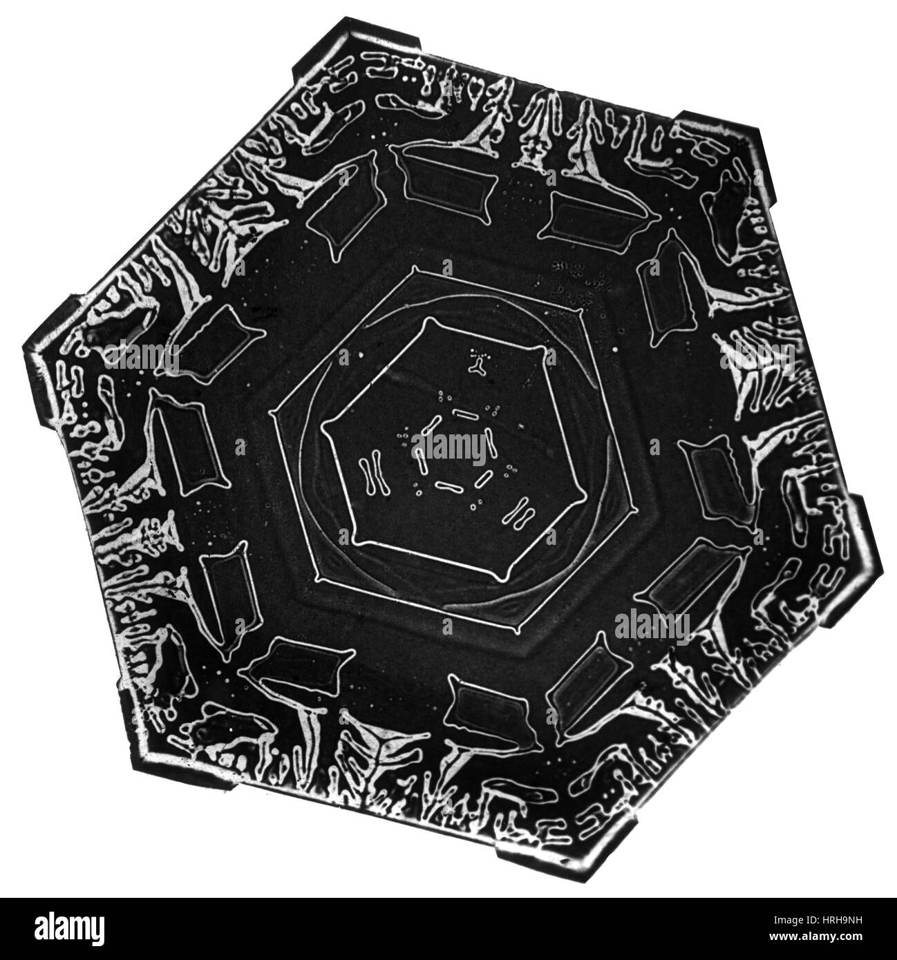 Schneeflocke Stockfoto