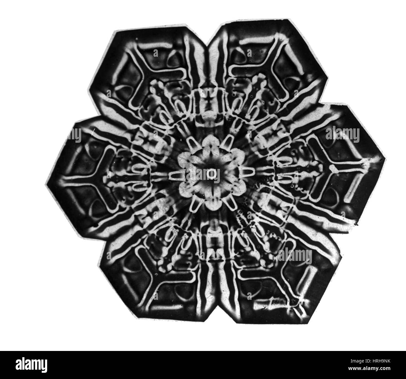 Schneeflocke Stockfoto