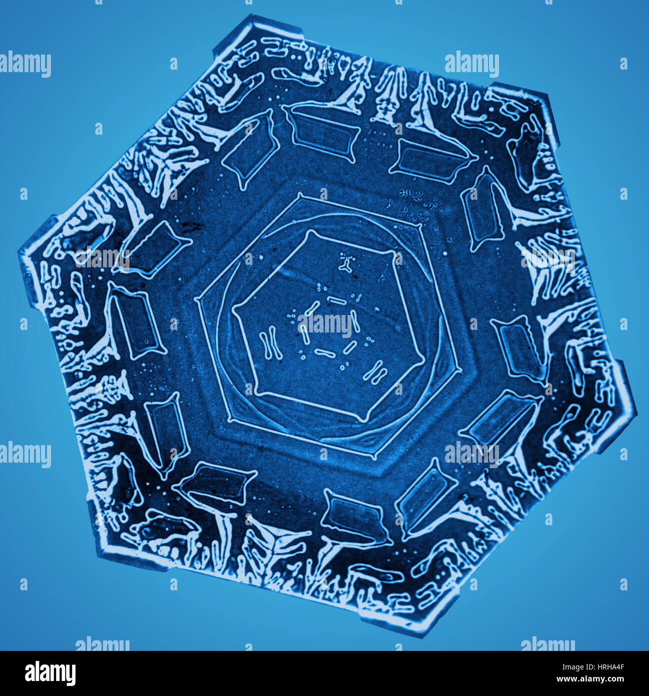 Schneeflocke Stockfoto