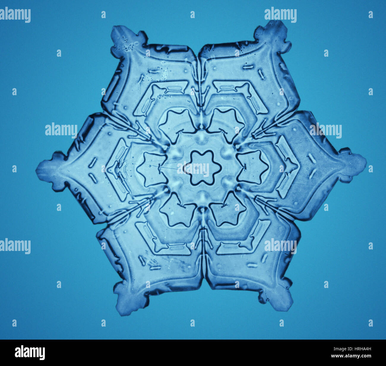 Schneeflocke Stockfoto