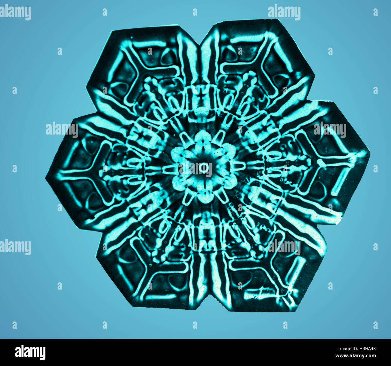 Schneeflocke Stockfoto