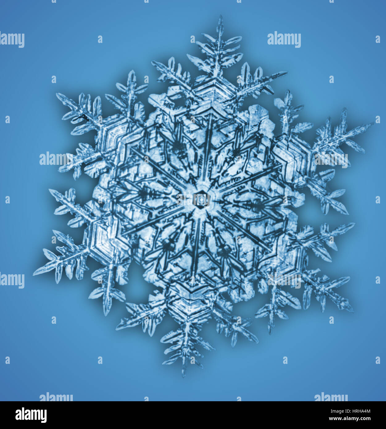 Schneeflocke Stockfoto