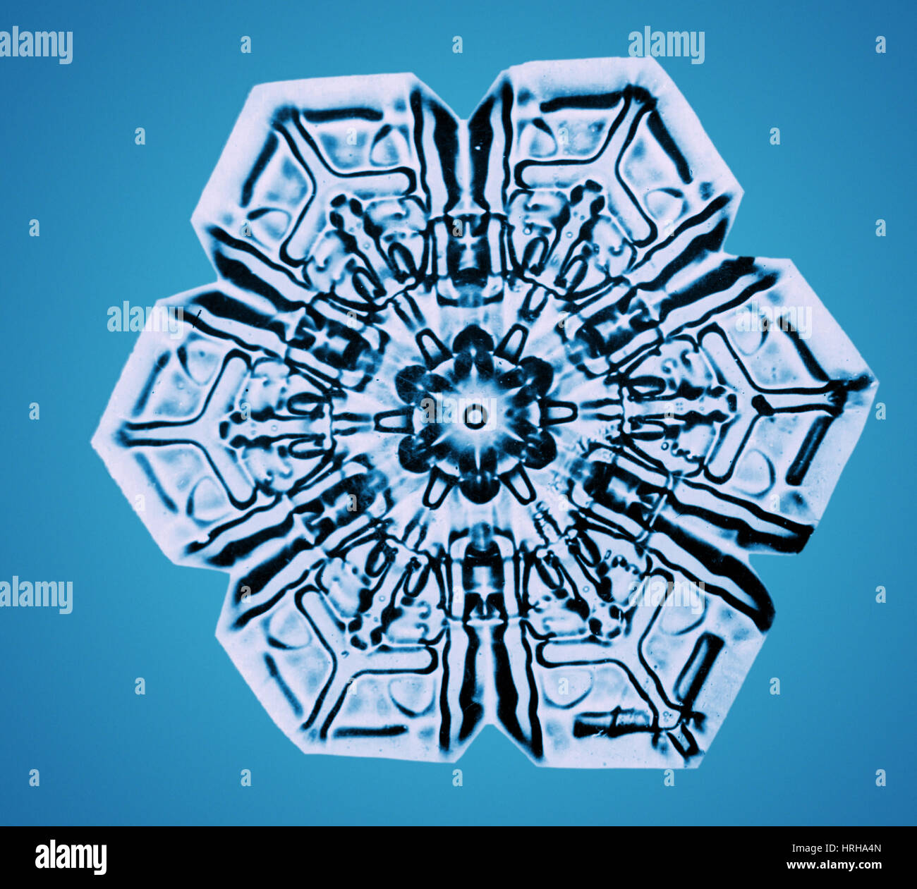 Schneeflocke Stockfoto