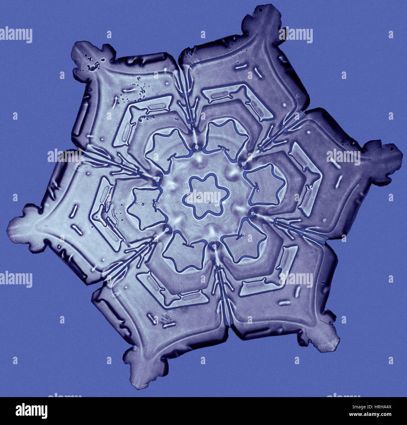 Schneeflocke Stockfoto