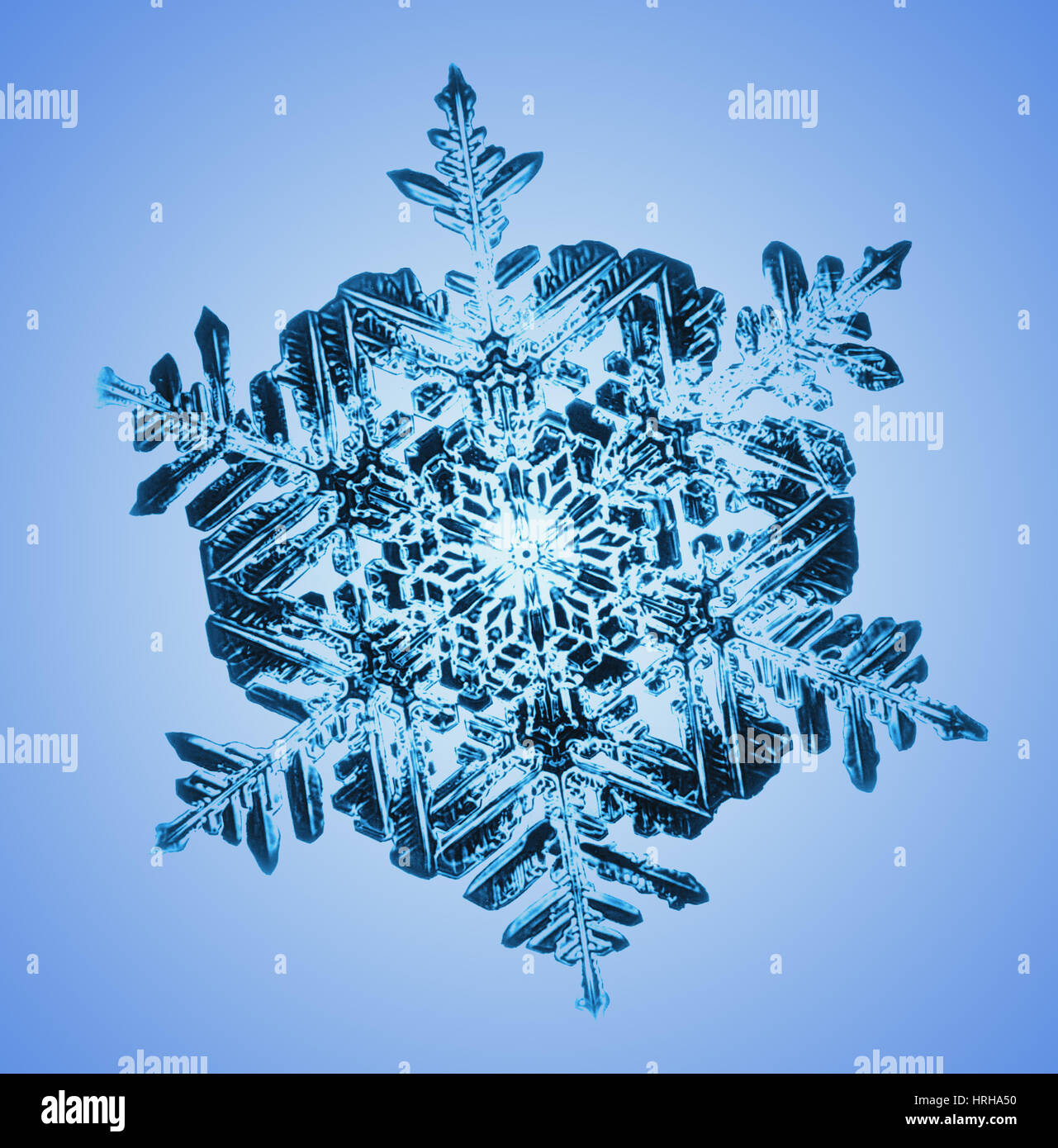 Schneeflocke Stockfoto