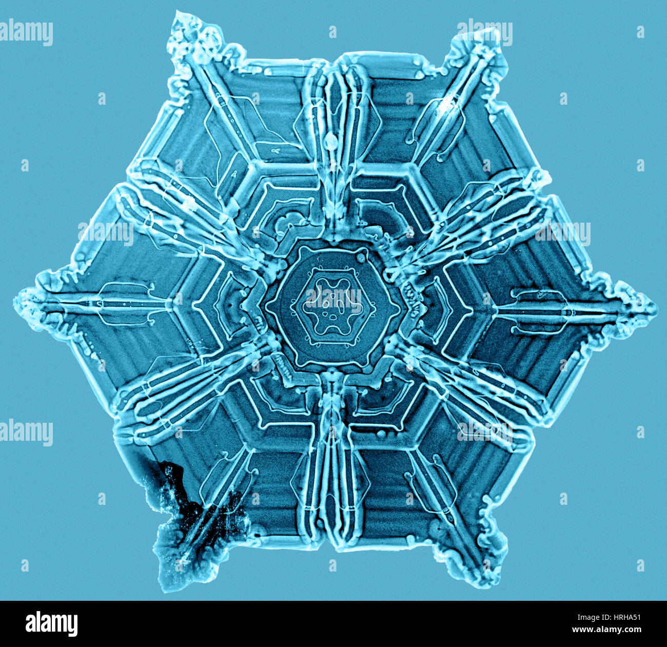 Schneeflocke Stockfoto