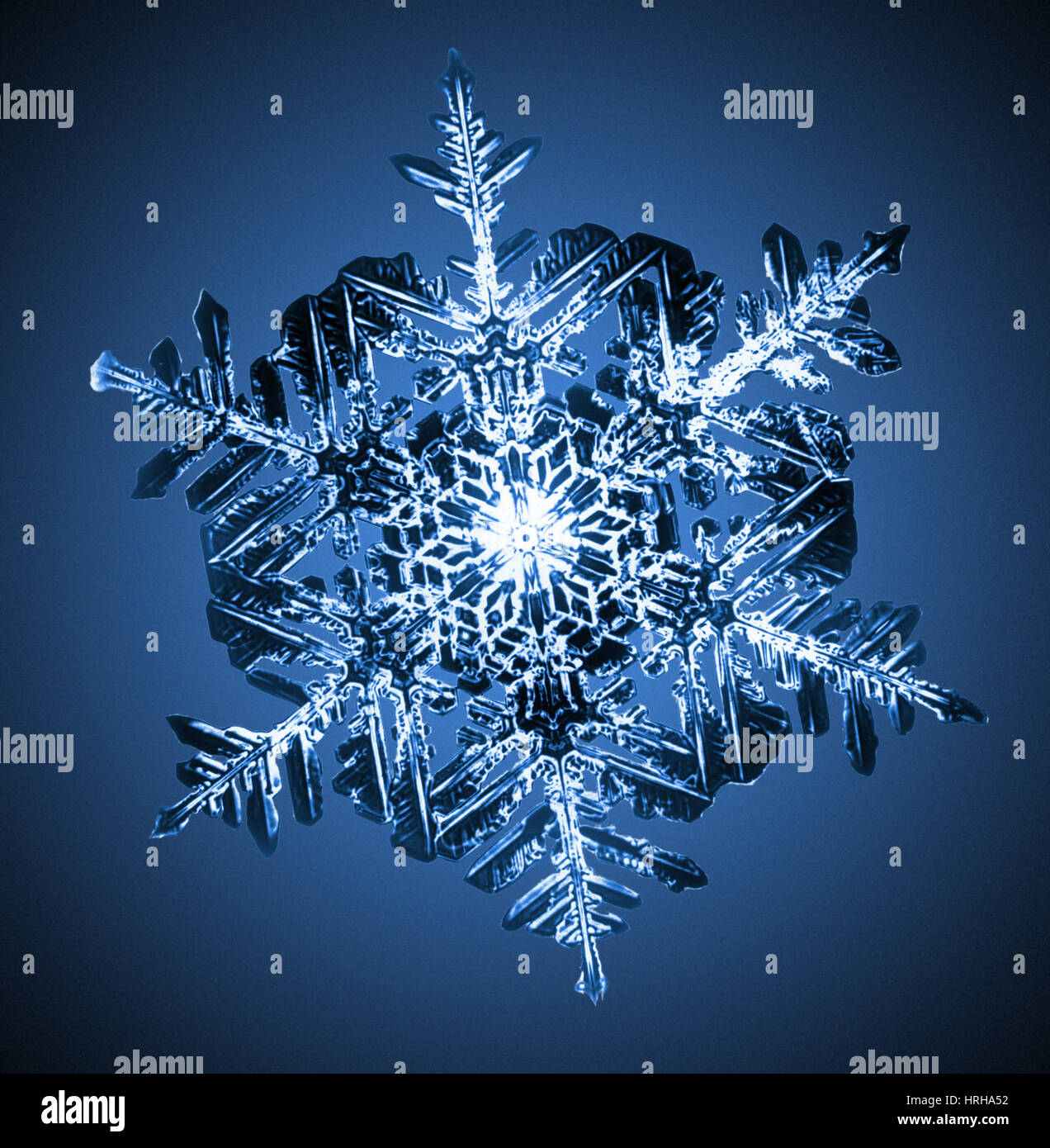 Schneeflocke Stockfoto