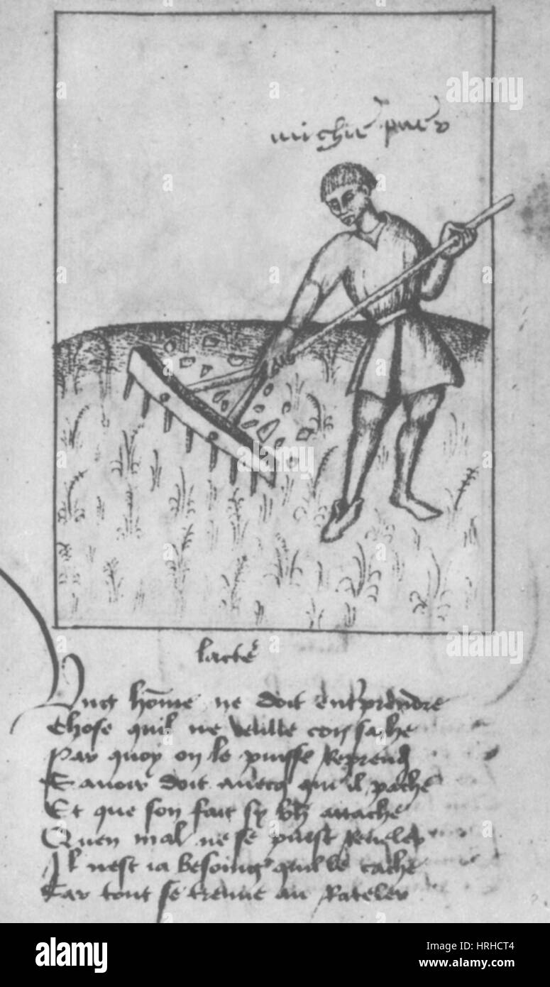 Landwirtschaft, 15. Jahrhundert Stockfoto