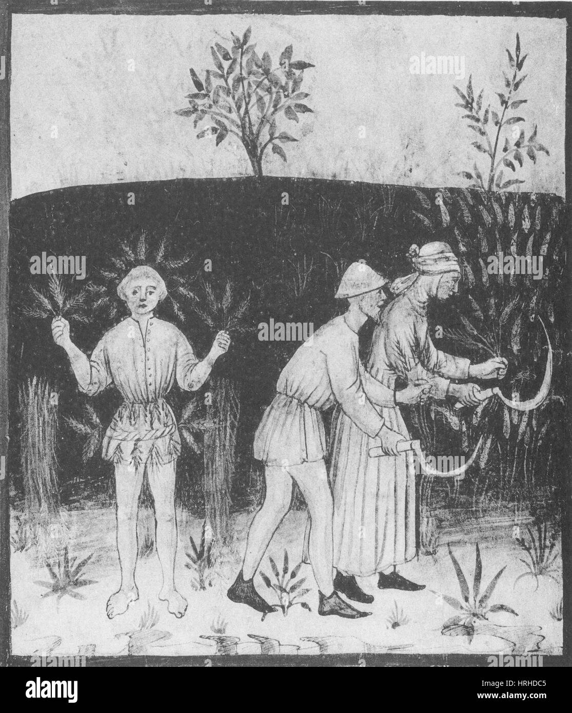 Landwirtschaft-1400 s Stockfoto