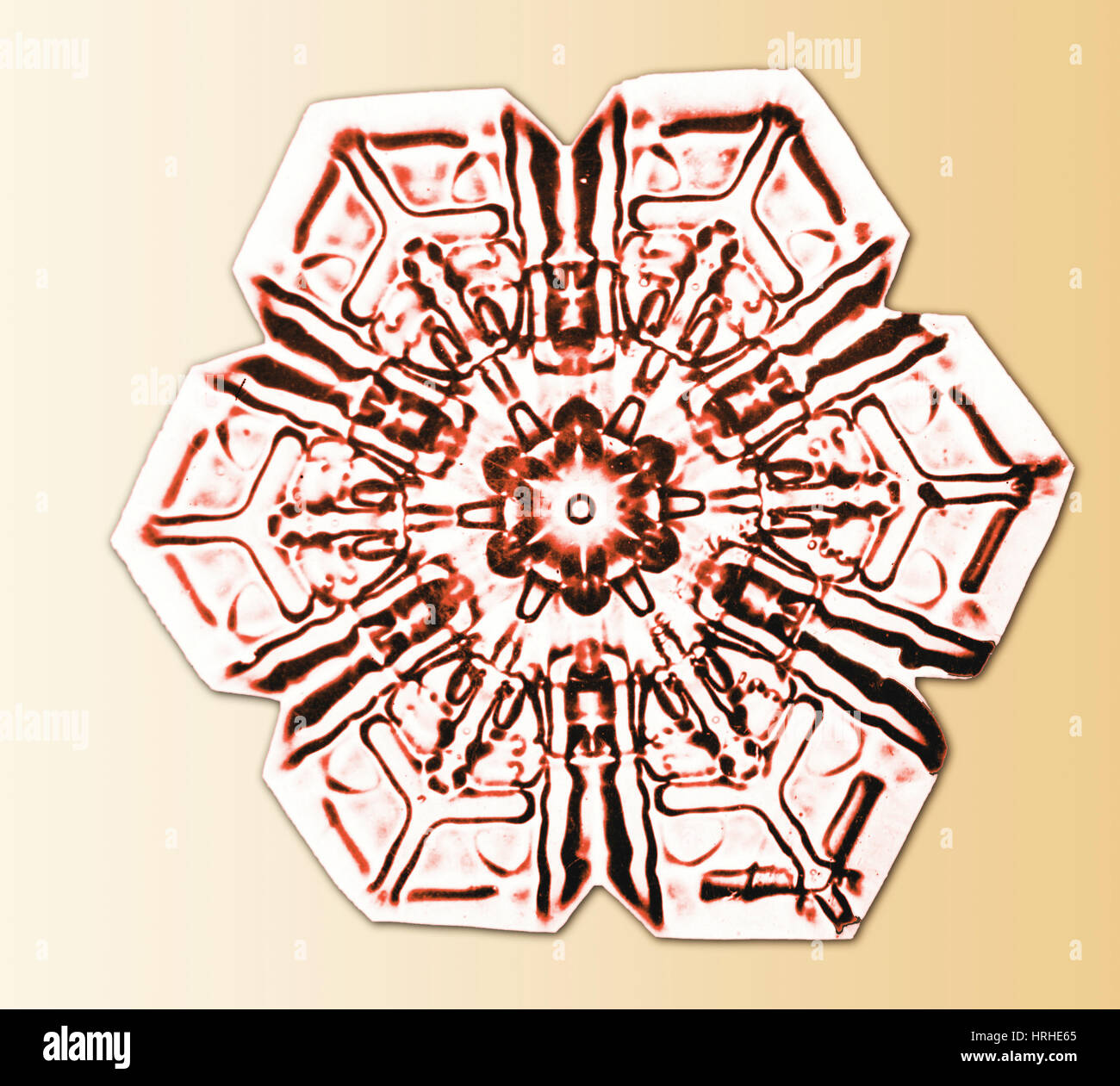 Schneeflocke Stockfoto