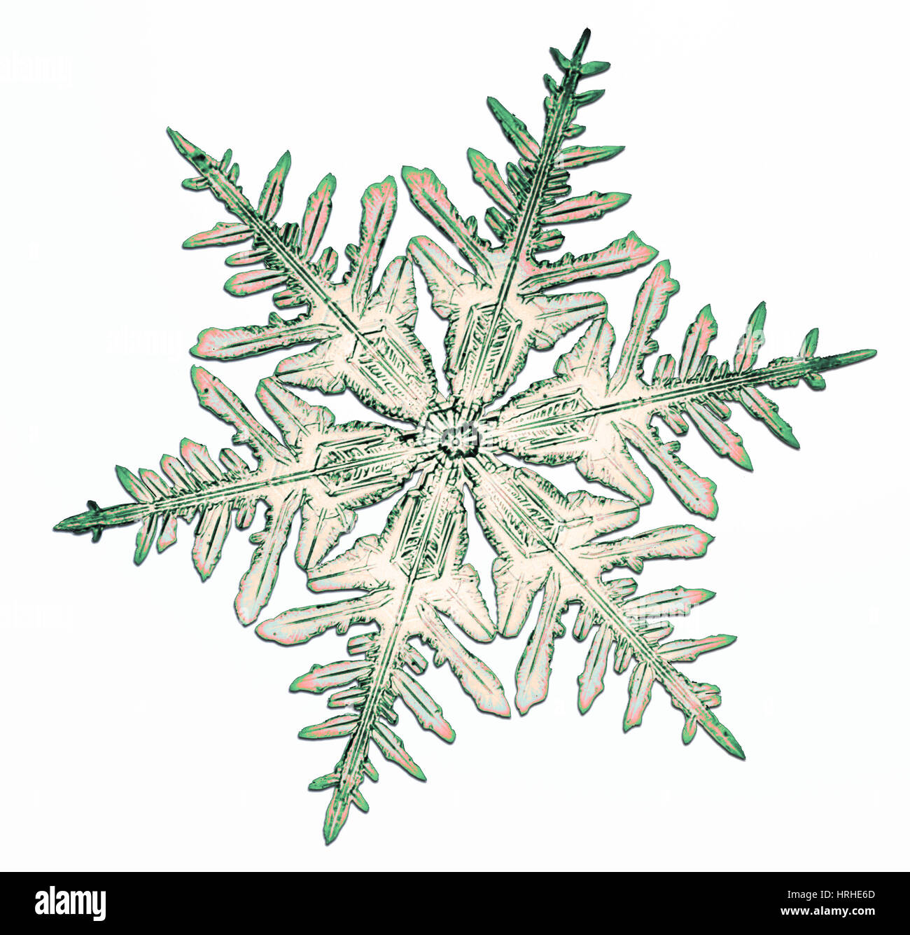 Schneeflocke Stockfoto