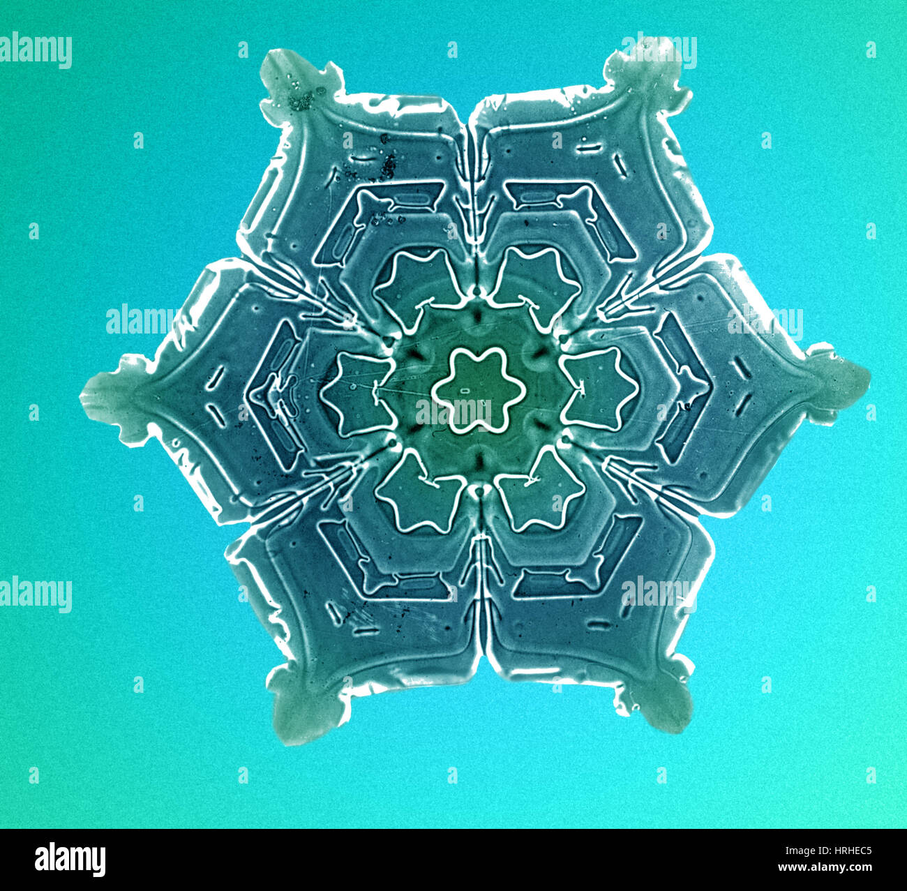 Schneeflocke Stockfoto