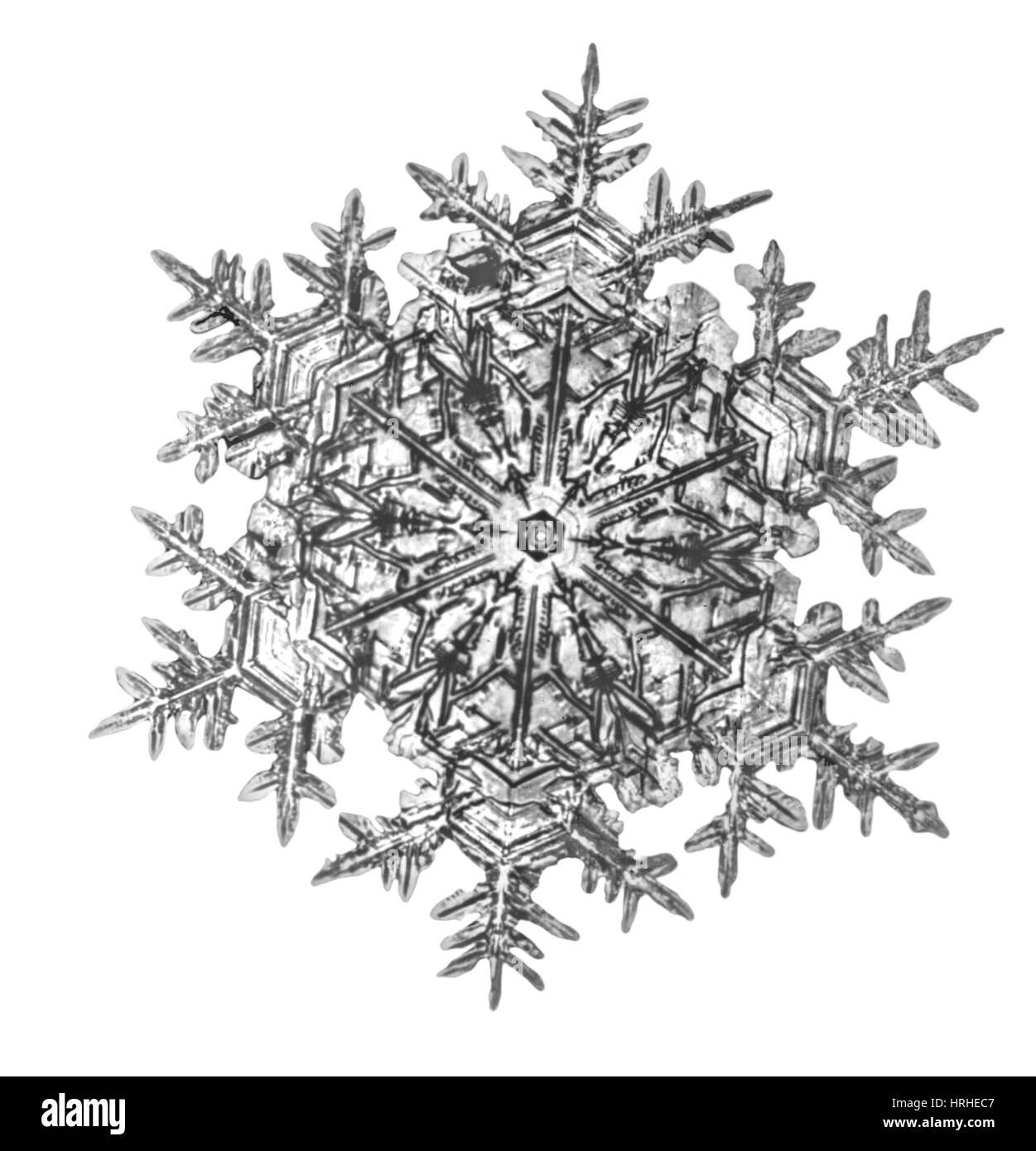 Schneeflocke Stockfoto