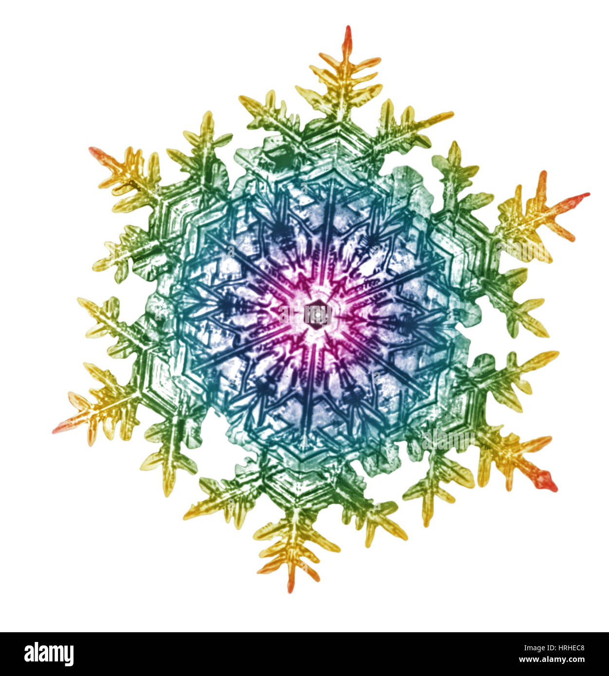 Schneeflocke Stockfoto