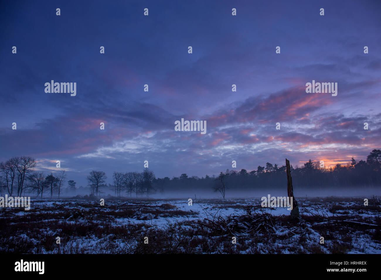 Sonnenuntergang im Nationalpark Hoge Veluwe, Niederlande Stockfoto