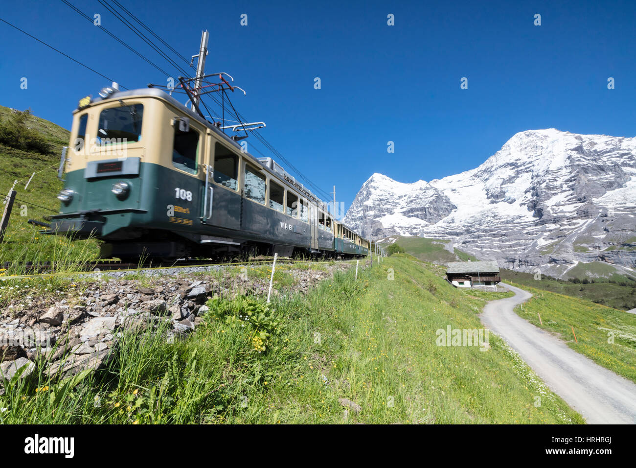 Die Zahnradbahn der Wengernalpbahn führt über Wiesen und schneebedeckten Gipfeln, Wengen, Berner Oberland, Kanton Bern, Schweiz Stockfoto
