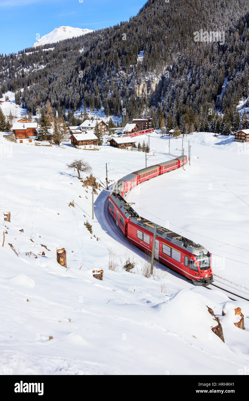 Roter Zug der Rhätischen Bahn geht in die verschneite Landschaft von Arosa, Bezirk Plessur, Kanton Graubünden, Schweiz Stockfoto