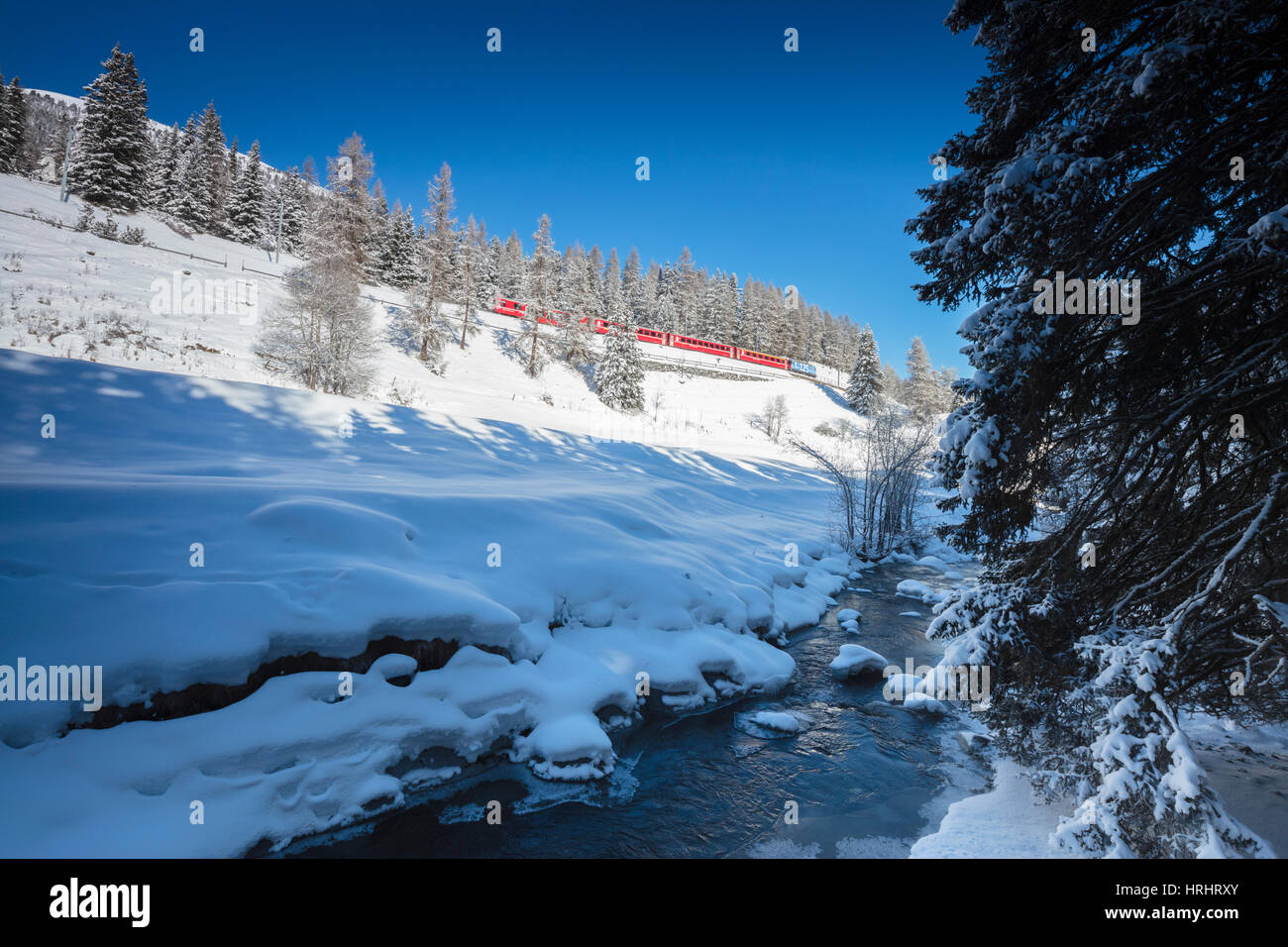 Rhätische Bahn auf Chapella Viadukt umgeben von verschneiten Wäldern, Schweiz, Schweizer Alpen, Engadin, Kanton Graubunde Stockfoto
