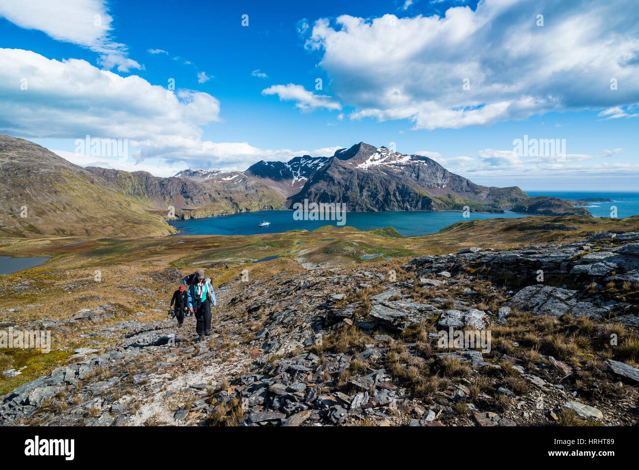 Touristen, die Wandern in Godthul, Südgeorgien, Antarktis, Polarregionen Stockfoto