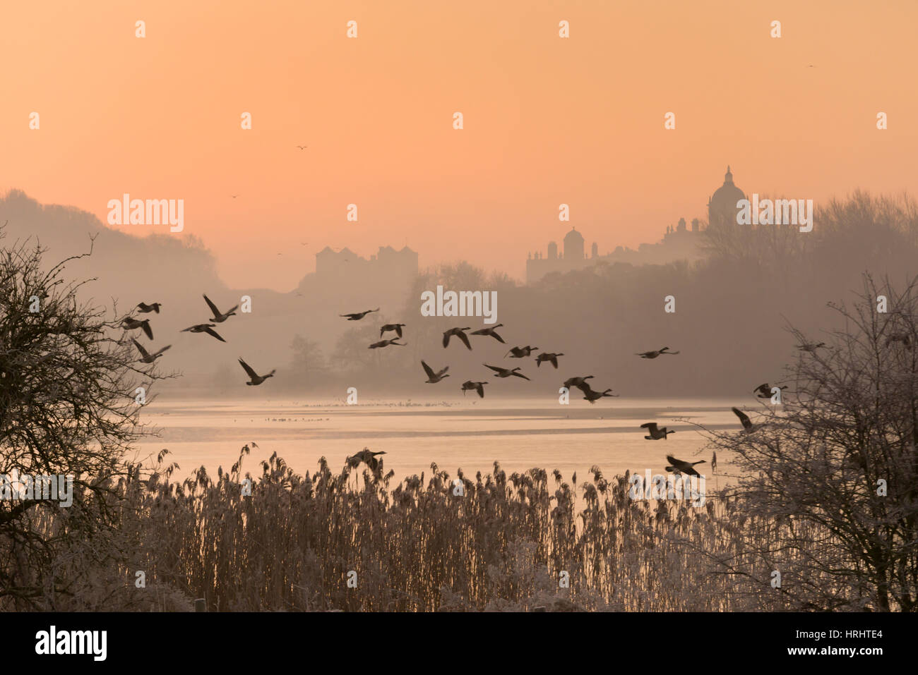 Einen nebligen Sonnenaufgang über dem großen See auf der Castle Howard Estate, North Yorkshire, Yorkshire, England, Vereinigtes Königreich Stockfoto